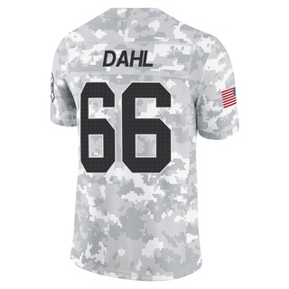 Limited Joe Dahl Men's Detroit Lions 2024 Salute to Service Jersey - Arctic Camo