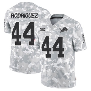 Limited Malcolm Rodriguez Men's Detroit Lions 2024 Salute to Service Jersey - Arctic Camo